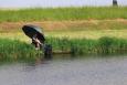 Small IMG 2540