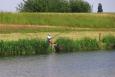 Small IMG 2541