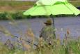 Small IMG 2548