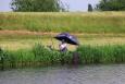 Small IMG 2552
