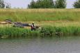Small IMG 2555