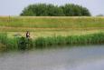 Small IMG 2566