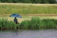 Small IMG 2569
