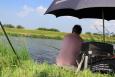 Small IMG 2581