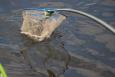 Small IMG 2584