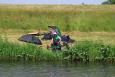 Small IMG 2592