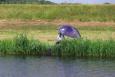 Small IMG 2593