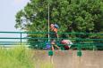 Small IMG 2603
