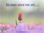 Triest bericht Huub Bruurmijn